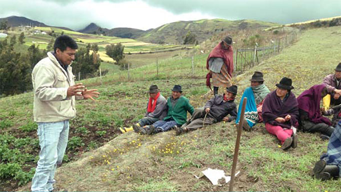 Colectivo Agroecológico del Ecuador_ Organizarse alrededor de la comida en un «mundo plano»