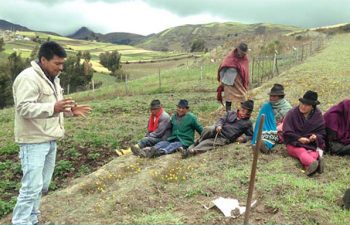 Colectivo Agroecológico del Ecuador_ Organizarse alrededor de la comida en un «mundo plano»